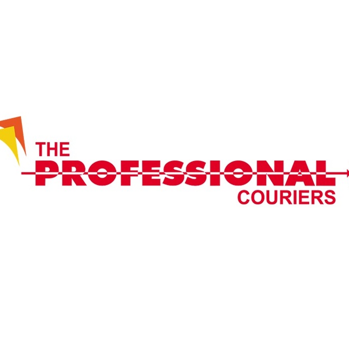 professional_logo